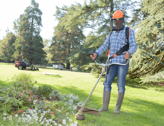 Entretien d'espaces verts à Tours