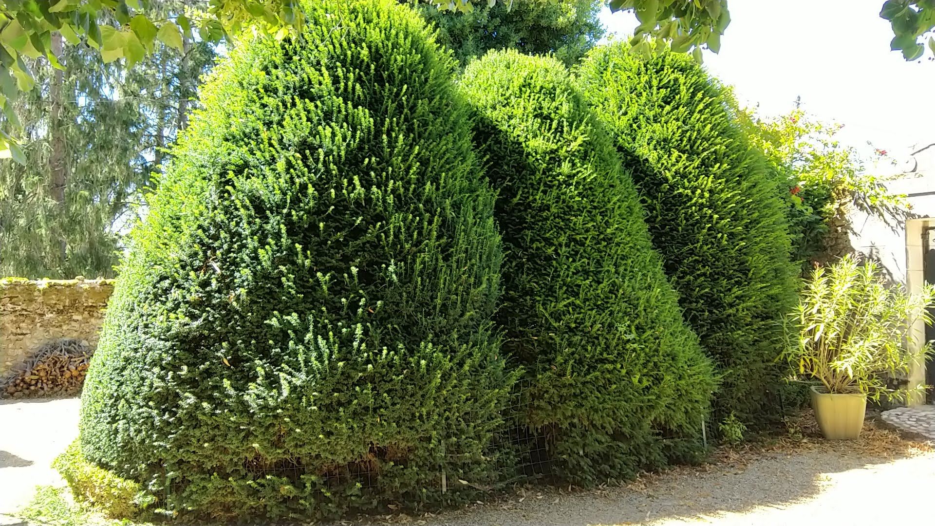 Entretien de jardin à Mazières